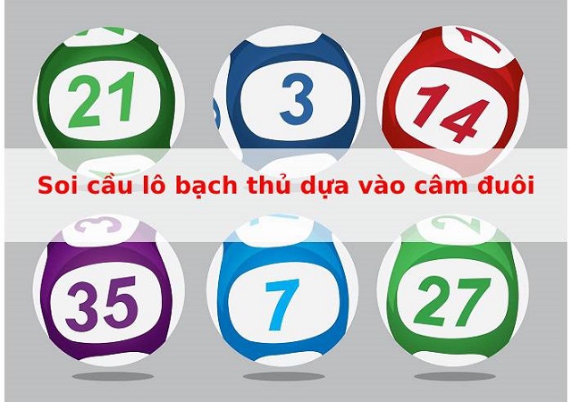 Phương pháp soi cầu bạch thủ lô siêu chuẩn dựa vào đuôi câm